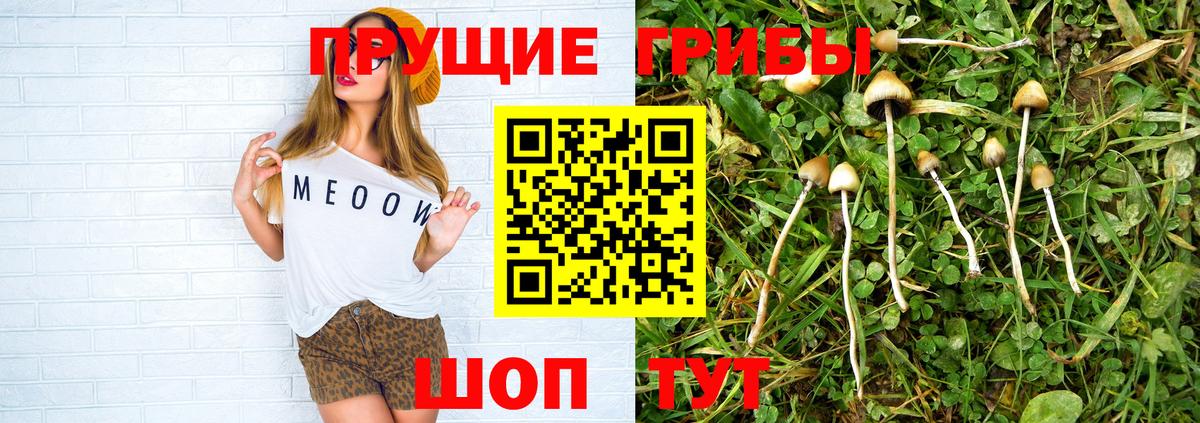 Псилоцибиновые грибы MAGIC MUSHROOMS  Вход с VPN  Зеленокумск 